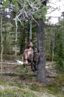 Small Thumbnail